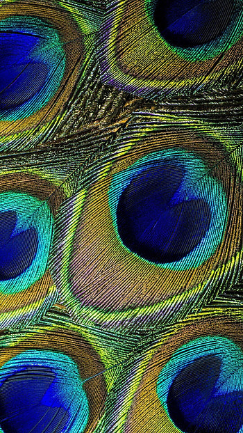 Amazing peacock, Artwork, Abstract, Home lock screen HD phone wallpaper