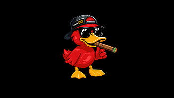 Good Boy, bird, dark, black, minimalism, minimalist, oled, artist, artwork, digital-art HD wallpaper