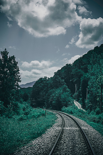 Nature, Trees, Sky, Turn, Railway HD phone wallpaper