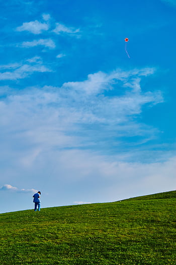A young boy in a blue shirt flies a red kite on a sunny day in a wide open grass field. HD phone wallpaper