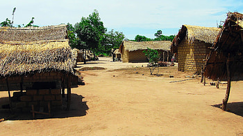 Central African Republic, Travels, EBM International, Related organization HD wallpaper