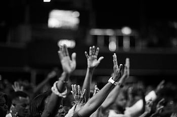 A group of people raising hands in a black and white concert setting, showing unity and celebration. HD wallpaper