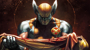 Wolverine Art, wolverine, superheroes, artwork HD wallpaper