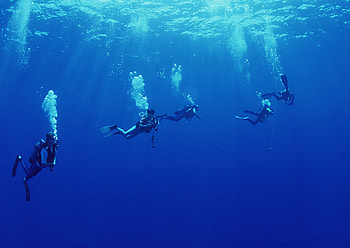Scuba diving , Stunning underwater , Dive enthusiasts, Scuba diving HD wallpaper