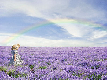over the rainbow, purple, rainbow, field, child HD wallpaper