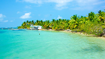 Explore Belize, Scuba diving, Underwater adventure, Caribbean wonders HD wallpaper