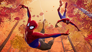 SpiderMan Into The Spider Verse Movie , spiderman-into-the-spider-verse, 2018-movies, movies, spiderman, animated-movies HD wallpaper