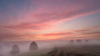 Green Trees Grass Field With Fog Under White Clouds Blue Sky During Sunset Nature HD wallpaper