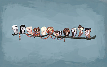 Art, Birds, Owl, Branch, Scarf HD wallpaper