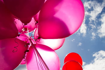 Vibrant pink balloons float against a sunny blue sky, perfect for celebratory themes. HD wallpaper