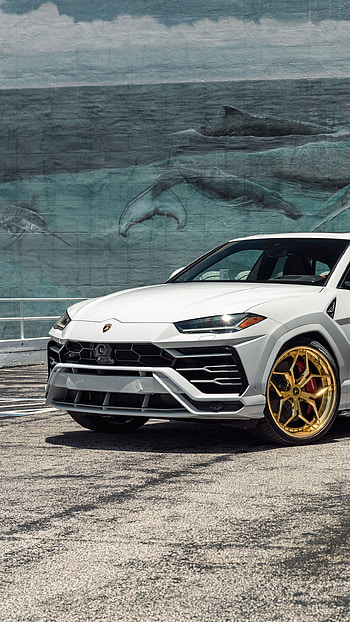 Lamborghini Urus, White HD phone wallpaper