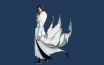 Sosuke Aizen, bleach, anime, aizen, soul reraper, traitor HD wallpaper