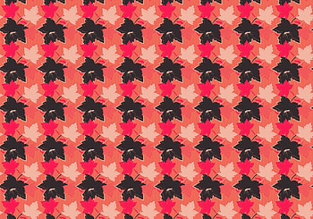 Leaves, Texture, Textures, Surface, Maple HD wallpaper