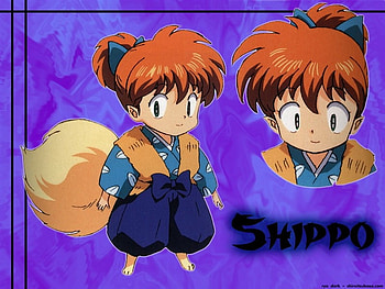 Shippo The Great Fox Demon, kagome, inuyasha, shippo, tail, demon HD wallpaper