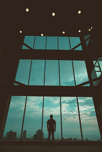 Birds, Dark, Silhouette, Window, Human, Person HD phone wallpaper
