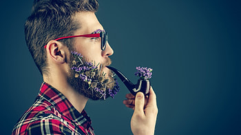New fashion, blue, pipe, viola, man, spring, purple, fashion, flower, red, glasses, male HD wallpaper
