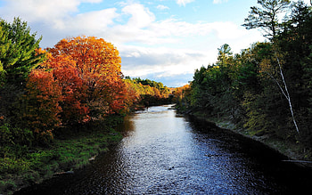 Nature, Rivers, Trees, Autumn HD wallpaper