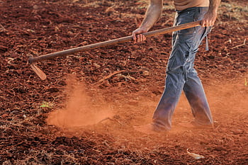 Barefoot farmer working the land in denim jeans, tilling red soil with a hoe in the rural countryside. HD wallpaper