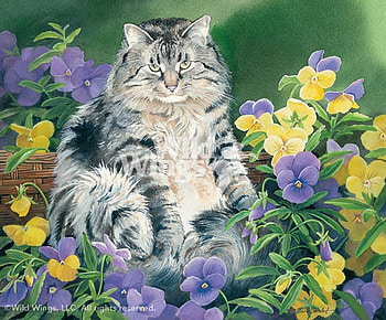 Cat among flowers, animal, artwork, kitten, flower, cat, pet HD wallpaper