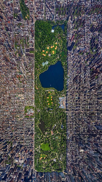 Central Park , Nature's beauty, Serene landscapes, Urban tranquility HD phone wallpaper
