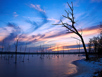 Landscape, Water, Trees HD wallpaper