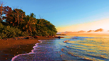 Golden hour along a beach of Matapalo, Costa Rica, sea, trees, landscape, colors, sky HD wallpaper