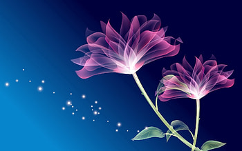 Abstract, Flowers, Leaves, Glare, Petals HD wallpaper