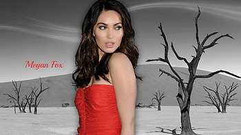 Megan Fox, Celebrity, Actress HD wallpaper