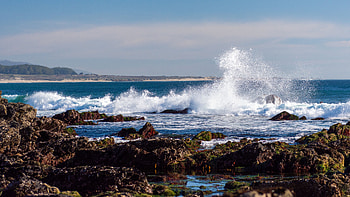 Landscape View Of Ocean Waves Stones Algae Rocks Trees Blue Sky Background Nature HD wallpaper