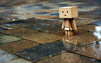 Rainy Day, rain, box man, damboard, dambo HD wallpaper