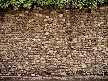 Ivy, Stone Walls HD wallpaper