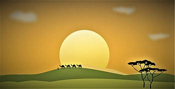 Desert, sunset, landscape, sky, art HD wallpaper