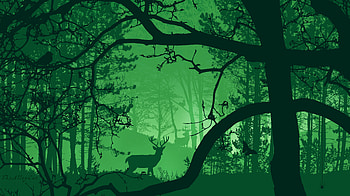 Nature, Art, Forest, Fog, Deer, Beasts HD wallpaper