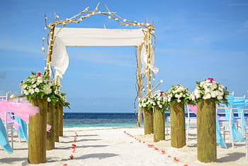 A beautiful beach wedding setup featuring a floral arch and ocean view. HD wallpaper