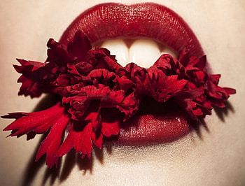 Red, teeth, flower, face, women HD wallpaper