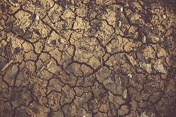 Close-up of cracked, arid soil showing detailed textures and patterns, indicative of drought conditions. HD wallpaper