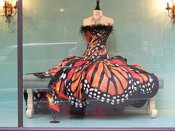 Monarch Butterfly Dress, colorful, monarch, butterfly, dress HD wallpaper