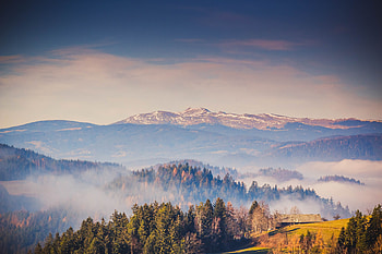 Nature, Mountains, Forest, Fog HD wallpaper
