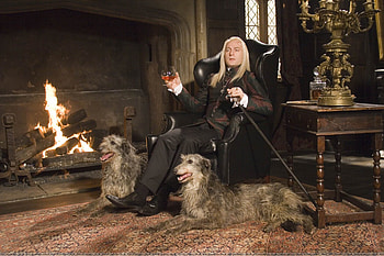 Death Eaters, Harry Potter dogs, Jason Isaacs, Lucius Malfoy HD wallpaper