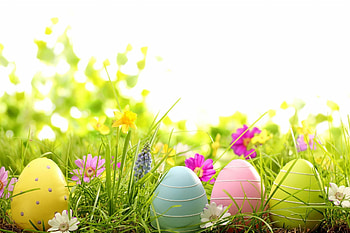 Spring Easter, Vibrant colors, Fresh beginnings, Joyful celebration HD wallpaper
