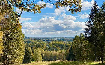 View from Hill, trees, Latvia, forest, hill HD wallpaper