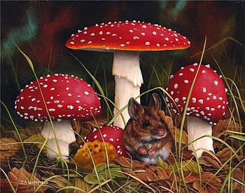 By Carl Whitfield, carl whitfield, painting, art, nature, mushroom, squirrel HD wallpaper