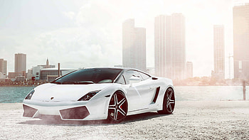 White Lamborghini Gallardo, U , Luxury car HD wallpaper
