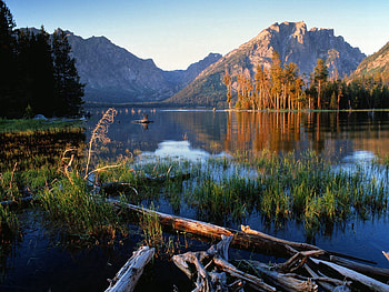 Nature, Trees, Grass, Mountains, Lake, Wreckage, Detritus HD wallpaper