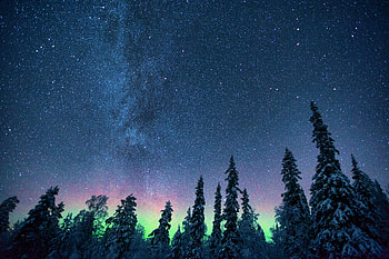 Nature, Trees, Starry Sky, Northern Lights, Aurora Borealis HD wallpaper