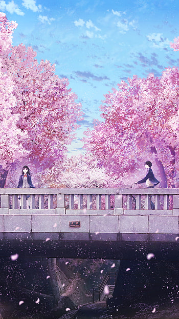 Blossoms of Love: Sakura Dreams Anime, flower, sakura, Anime, love HD phone wallpaper