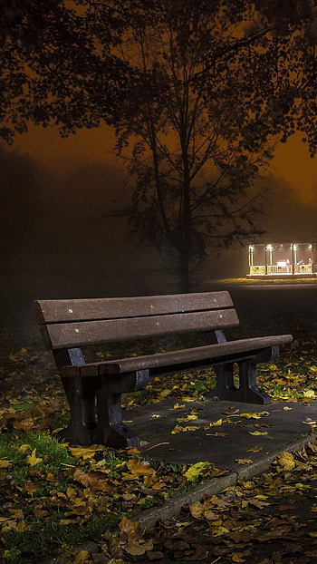 Bench in Autumn Park at Night, park, man made, bench HD phone wallpaper
