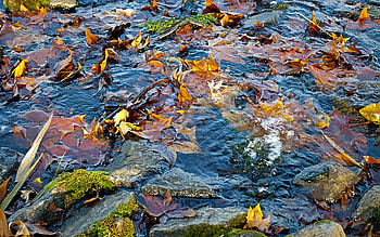 Landscape, Water, Autumn HD wallpaper