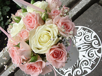 Flowers, Roses, Bouquet, Height, Tape, Pot HD wallpaper