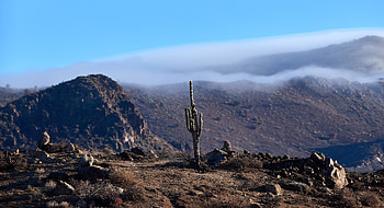 Landscape, Nature, Mountains, Hills, Cactus, Cloud HD wallpaper